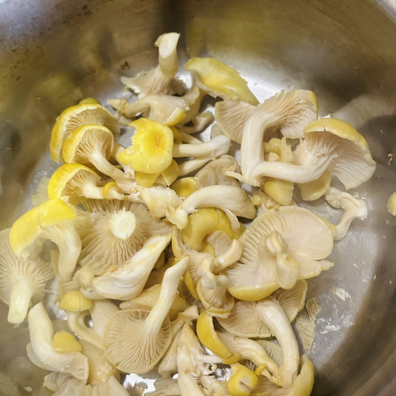 毎日のお味噌汁27杯目＊たもぎ茸とメカブ、豆腐