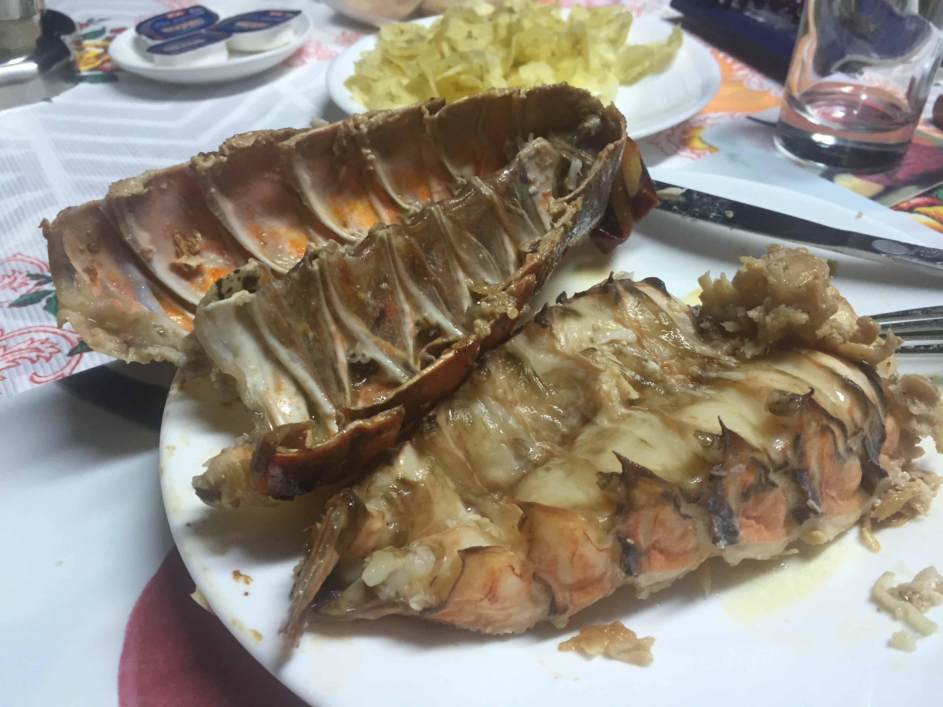 ボイルロブスター 1尾 北米産 姿ゆで 350g前後 オマール海老 冷凍便 食品 : 食みらい・国華園 - 通販 - Yahoo!ショッピング