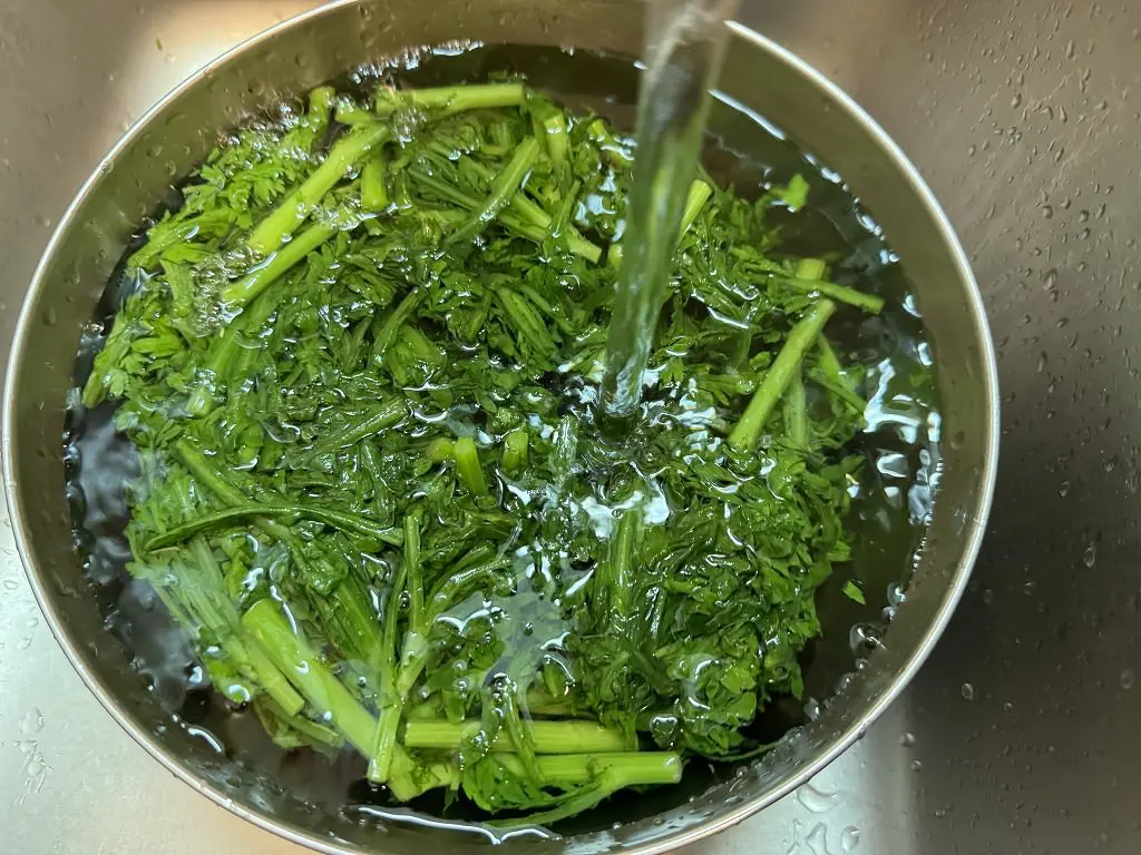 野菜ひとつ 春菊のおひたし