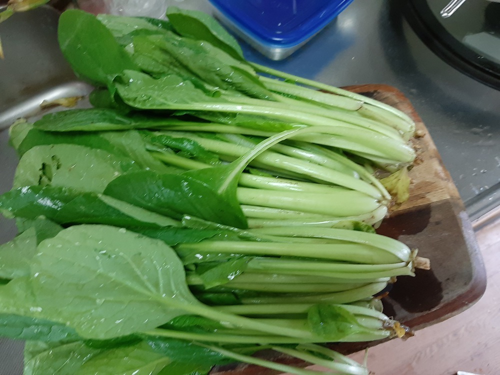 主婦の味方!ピーマンと小松菜で作る料理、レシピ25選 - ライブドアニュース