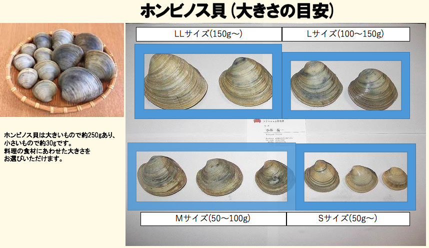 居酒屋で「ハマグリ」注文したのに安い「ホンビノス貝」が出てきた！ お金払わなくていい？ - ライブドアニュース
