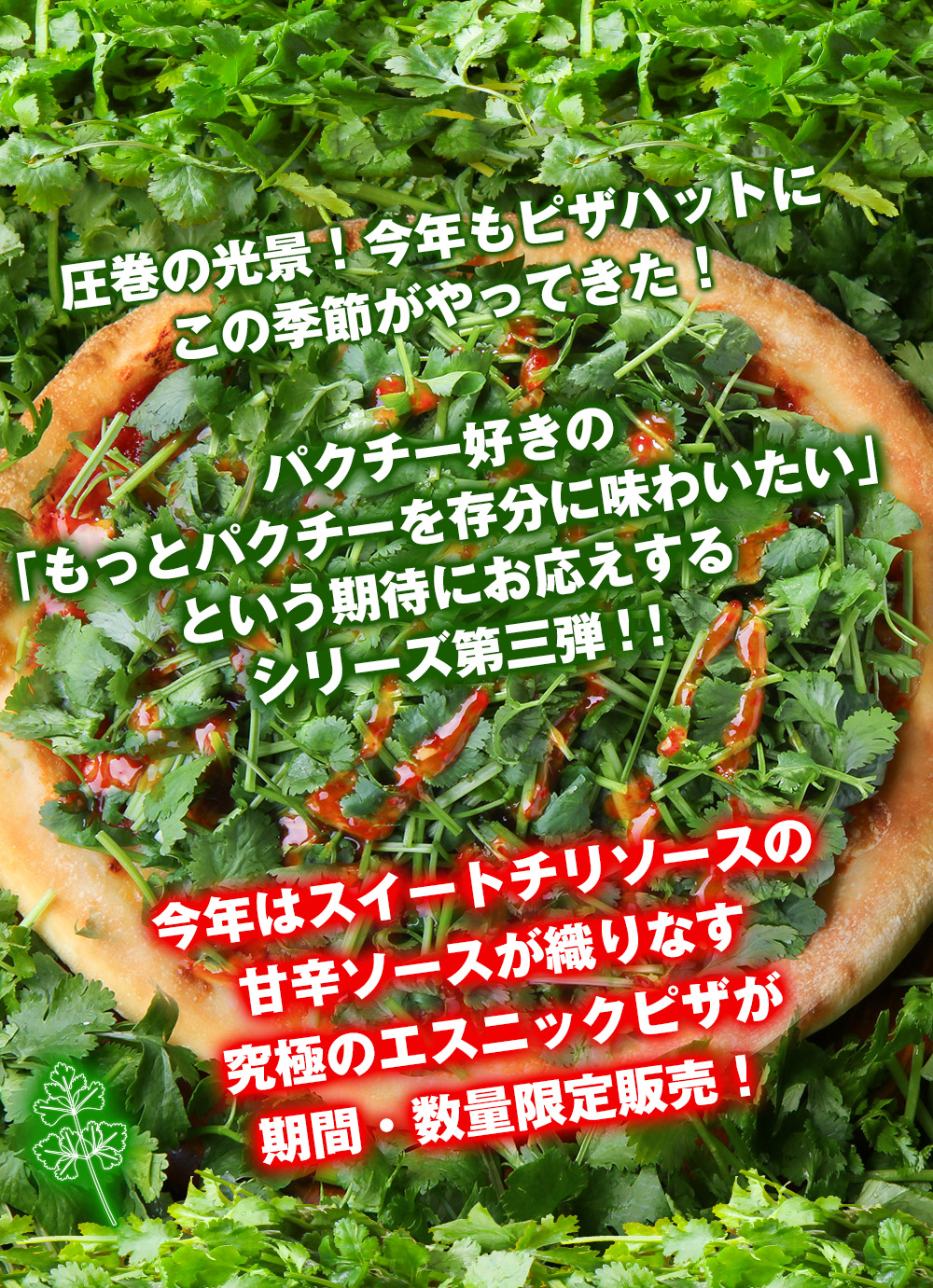 草超えて森、抜けたら沼だった」全パクチストに送る伝説の1枚が最新形態へ：ピザハットの2025年パクチー ピザ期間限定発売│WEBヤングマシン新車バイクニュース