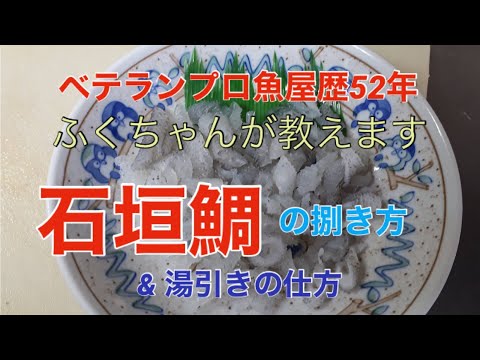 イシガキダイの塩焼きは最強です