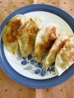 大葉ギョーザ漫画『ドロヘドロ』 餃子