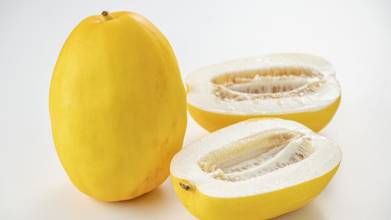 1kg超えの巨大きゅうり！「青大きゅうり」の正体に迫る