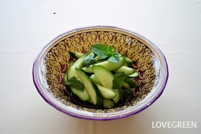 ウリ科の野菜一覧野菜の育て方・栽培方法