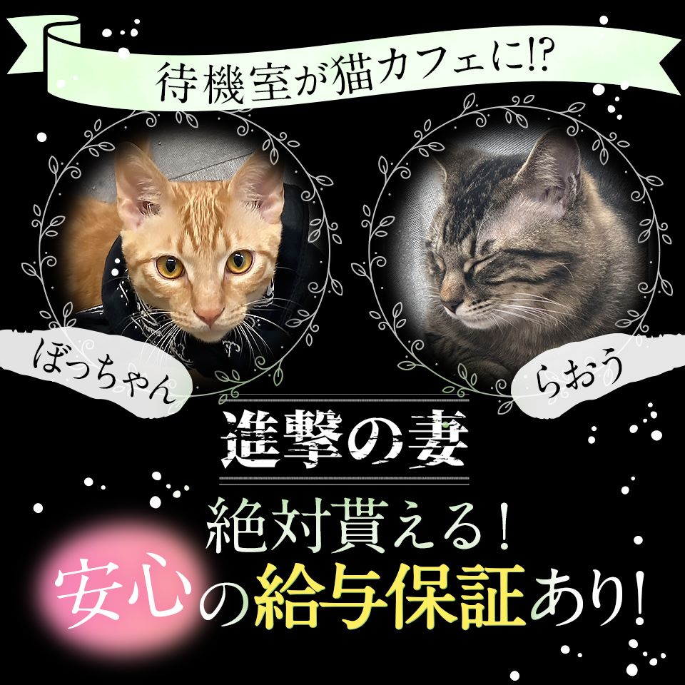 40代からの風俗求人【厚木】