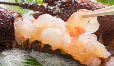 伊勢海老入りお刺身セット。尾鷲産の鮮度バツグン海産物を直送します