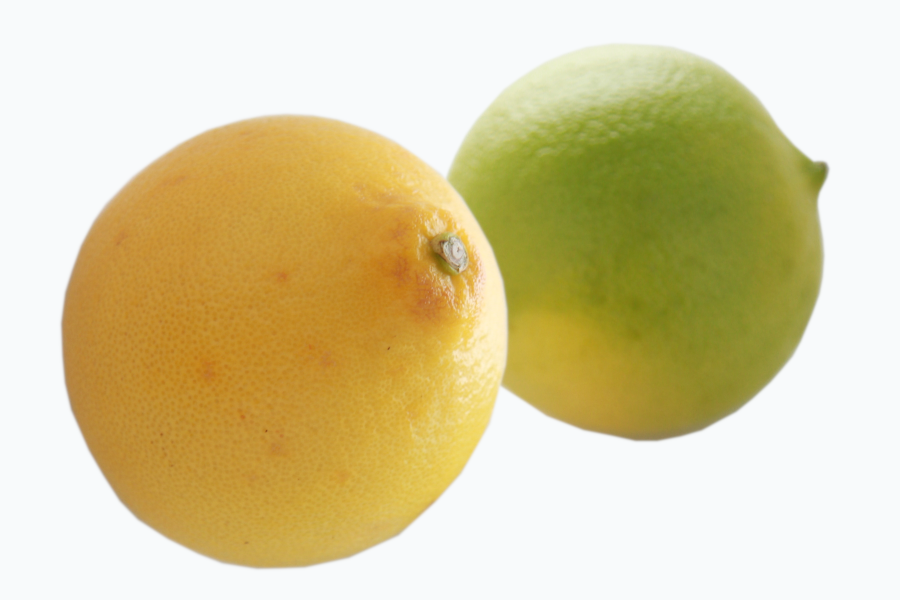 トップページ - 国産ベルガモット萬秀フルーツ