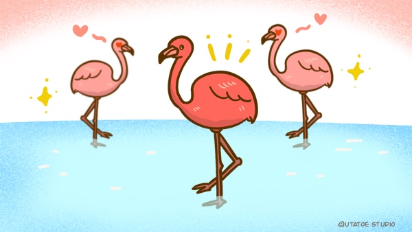 ものしり雑学 フラミンゴのモテる秘訣とは?ウタトエスタジオ オフィシャルホームページ