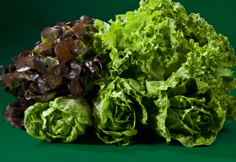 なばな 菜花 みなとの野菜大辞典