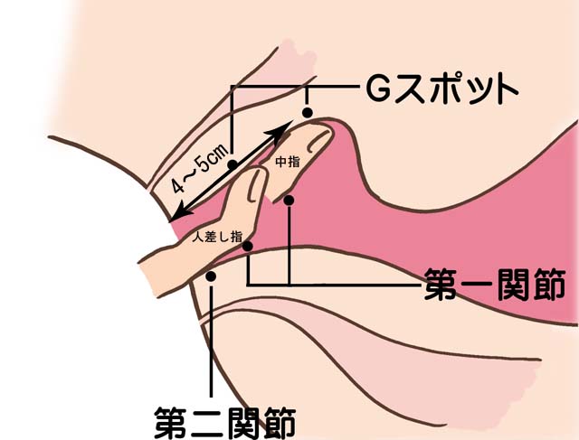 いきなり潮吹きスプラッシュ！！即吹かせ人妻ナンパ！！そこらへんの人妻全員吹かせる！」：エロ動画・アダルトビデオ -MGS動画＜プレステージ グループ＞