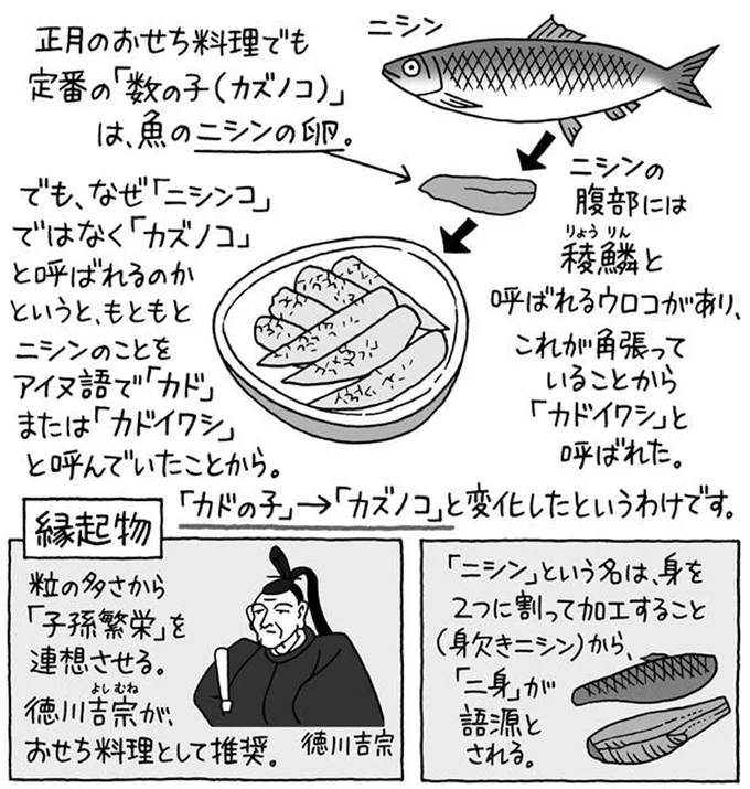 月刊小樽自身2023年3月号 冬の魚卵はプチプチ！カズノコ・ニシンの愉しみ方小樽観光協会公式サイト「おたるぽーたる」：北海道小樽へようこそ