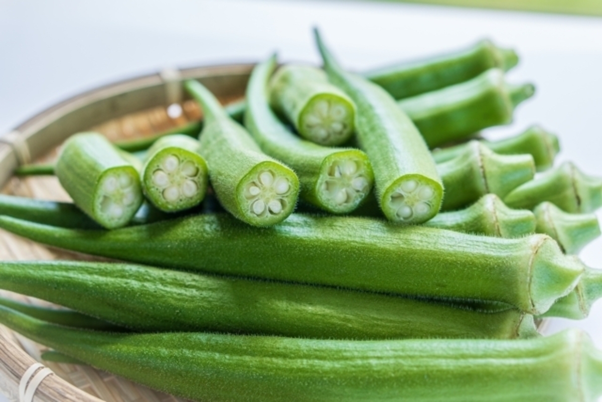 丸オクラの栽培方法 – 商品別育て方情報 ニチノウのタネ