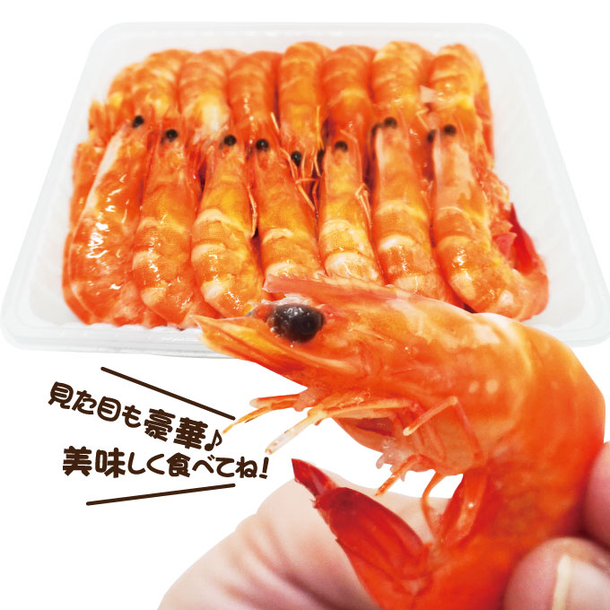 さっと使えるボリューム満点の海老特集- 食のプロ御用達ネット通販ナカヤマフーズオンライン