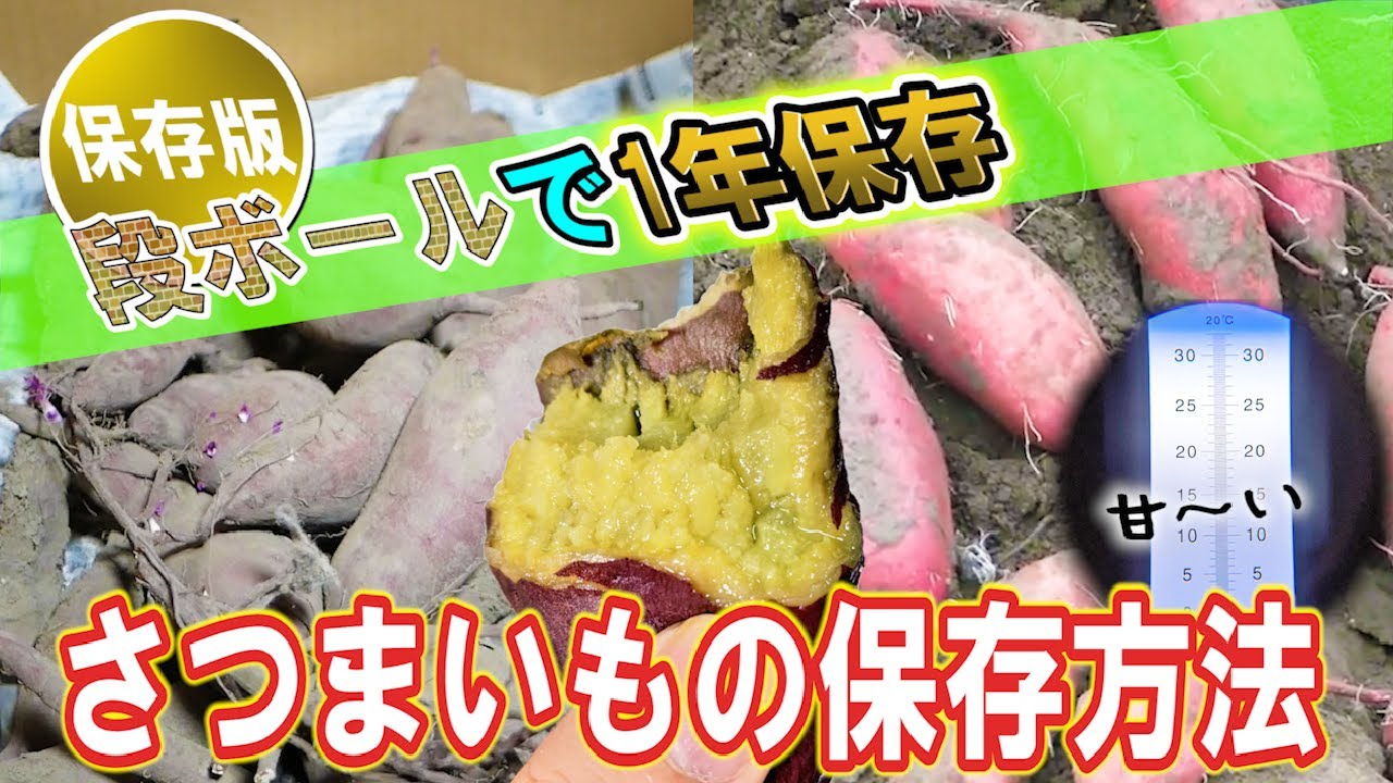 冷凍保存OK！簡単さつまいもレシピ：単身赴任の味方 - Green Beans レシピまとめ