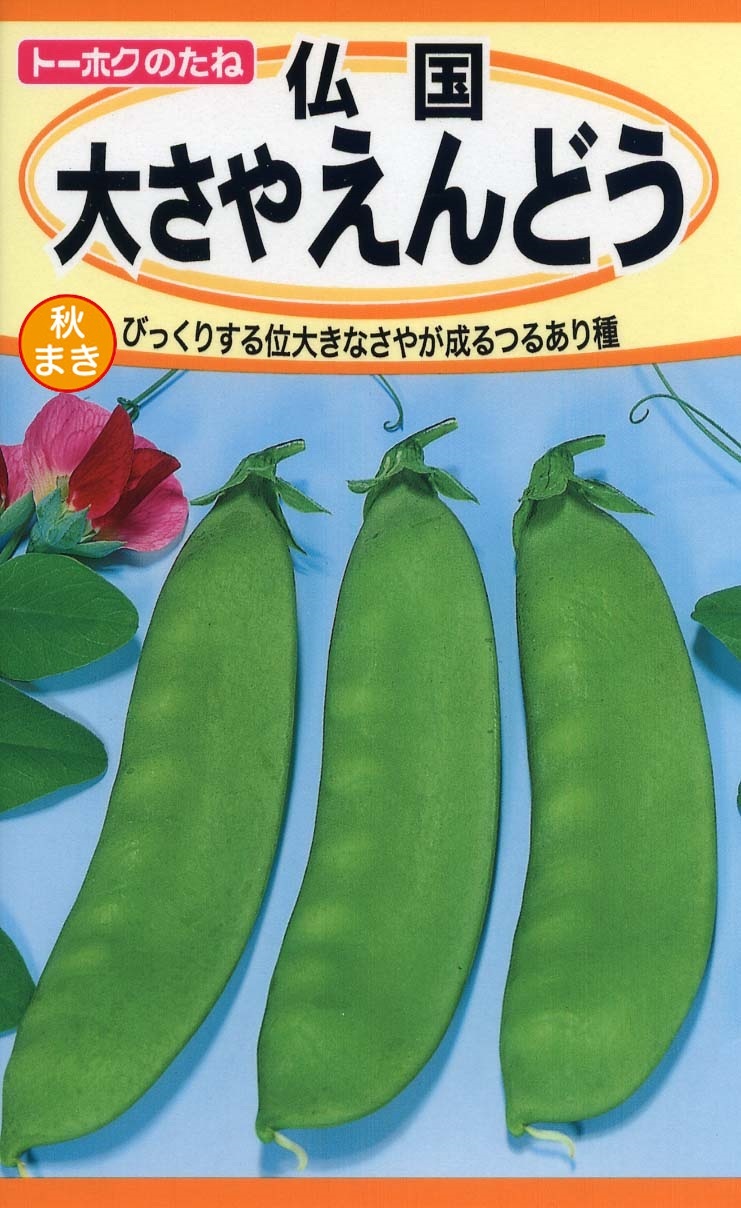 エンドウ 春まき品種の使い分け株式会社トーホク