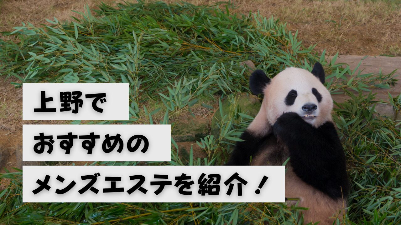 2024年最新】上野のメンズエステおすすめランキングTOP10！抜きあり？口コミ・レビューを徹底紹介！