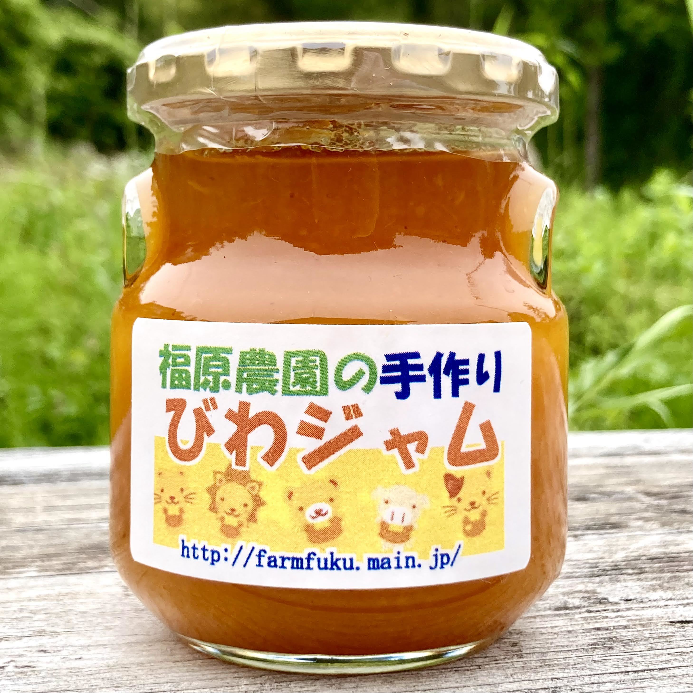 旬の果物 びわのおいしい食べ方と保存方法・レシピ・効能まとめJA長崎せいひ公式オンラインショップ長崎県の特産品のお取り寄せ