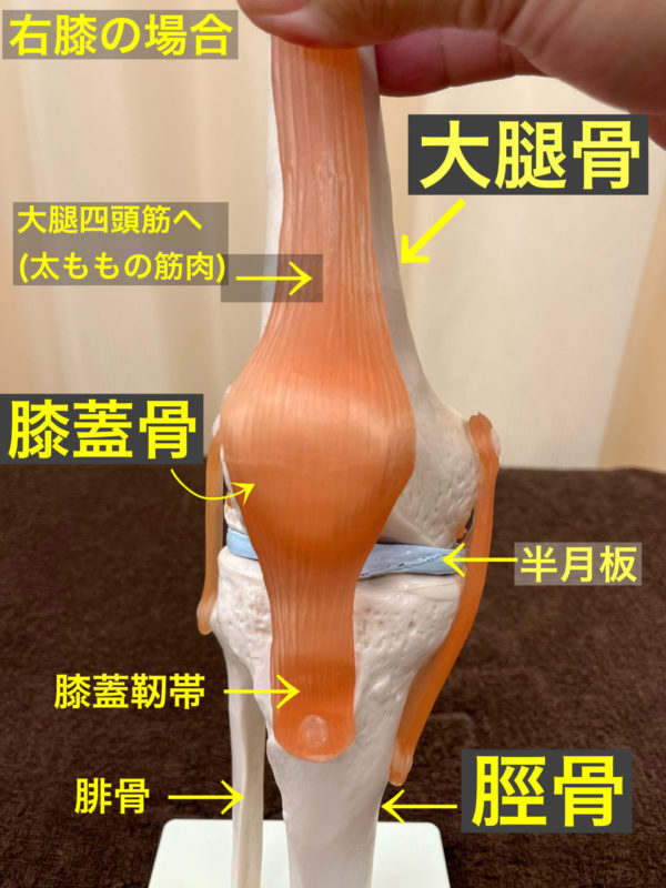 膝痛の改善について | 練馬区の鍼灸ならたった1回で効果を実感できる太陽堂鍼灸マッサージ院練馬へ！