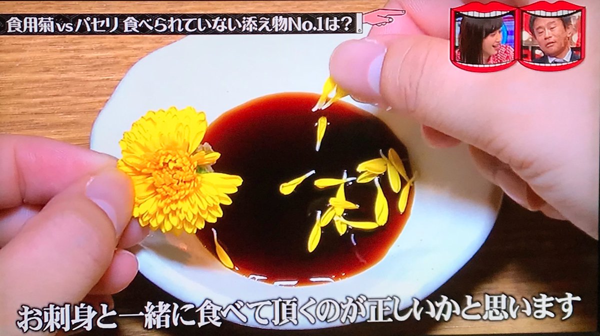 たんぽぽと菊の違いは 見分け方はどうなる?意味や由来違いの情報