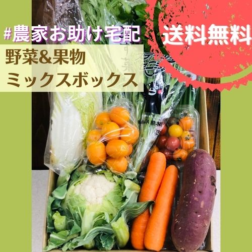野菜詰め合わせ 店長厳選！きくちのまんま野菜ボックスS 野菜5品目~7品目 JA 菊池 熊本県産 旬 九州 新鮮宅配 送料無料
