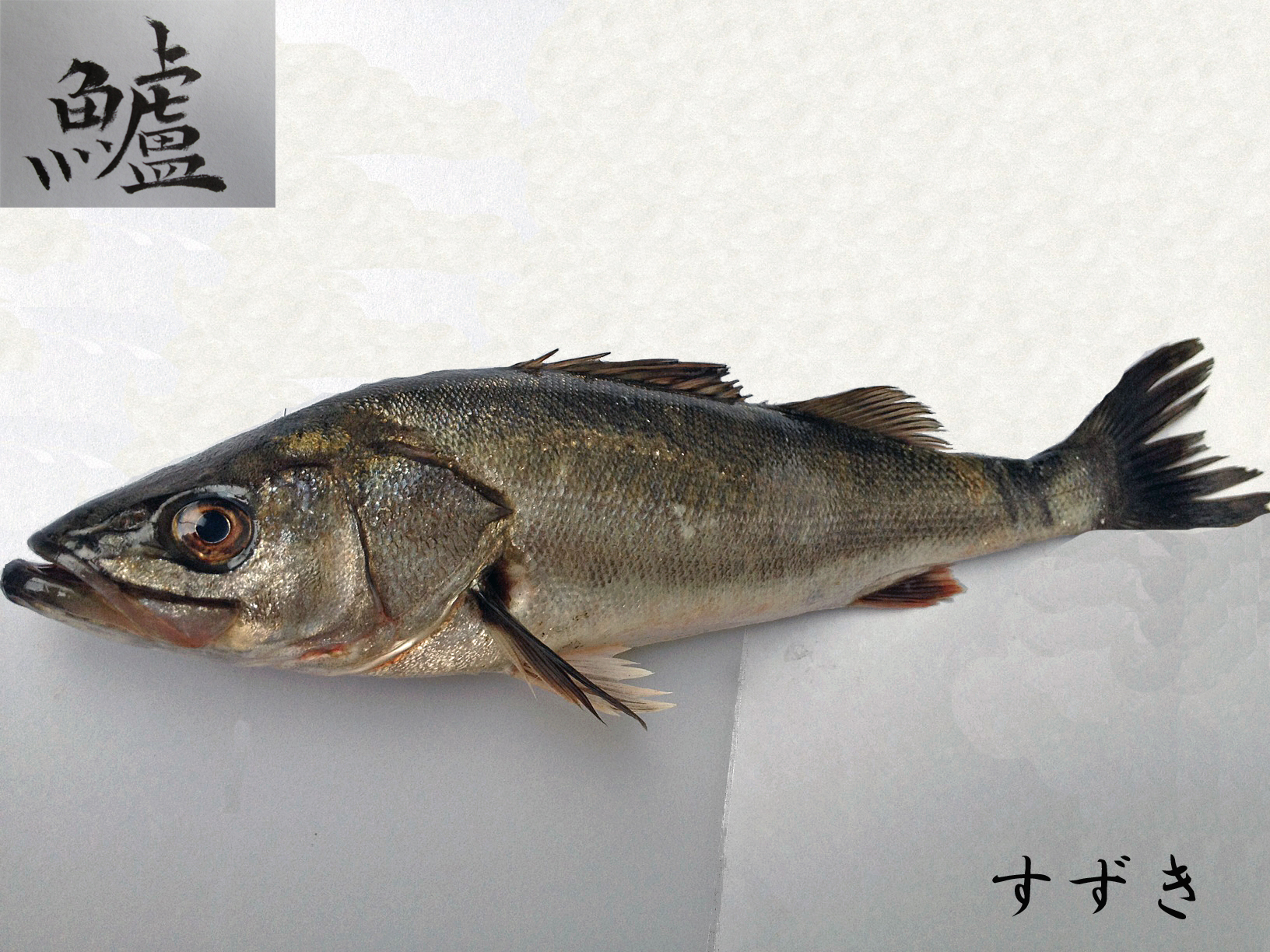 サンマ?いいえ閂サヨリです。横浜丸魚株式会社