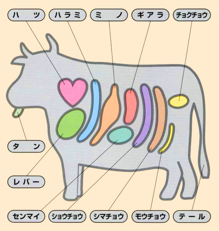 業務用ネットスーパー お役立ち情報 鶏肉の部位について: