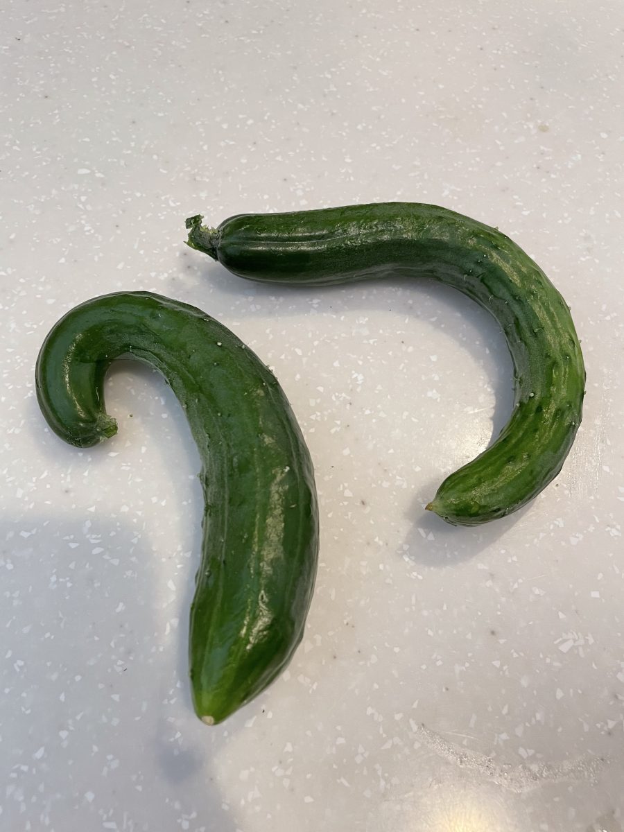 きゅうり 中 が 黄色い時は食べても大丈夫