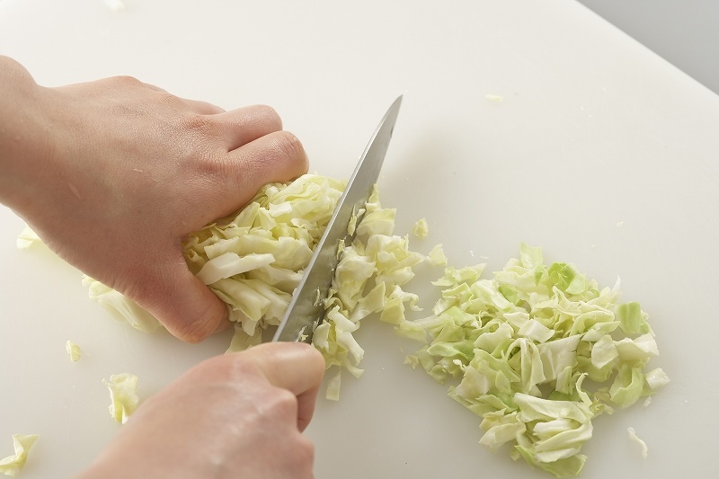 キャベツたっぷりお好み焼き野菜科学研究会