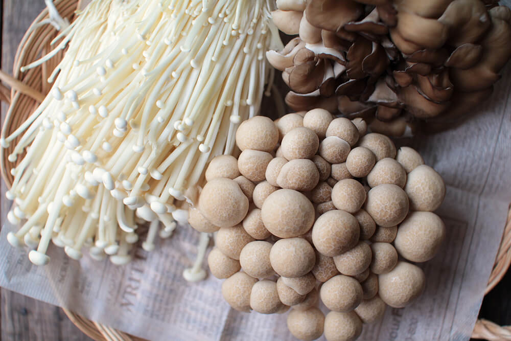 きのこ 賞味期限 椎茸、しめじ、舞茸やエリンギ等のキノコ類の賞味期限「キノコの賞味期限は、いつまで食べられる？生鮮食品の賞味期限の目安を解説」BIJOHビジョー