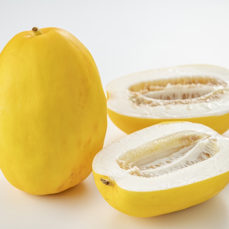 ウリ科の野菜 一覧野菜の図鑑web