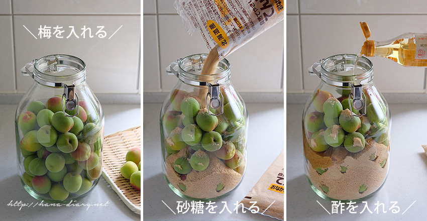 梅仕事簡単に梅干しを瓶とジップロックで深い甘みで美味しい梅シロップてんさい糖で作りました小梅をたくさん使いました 家の中