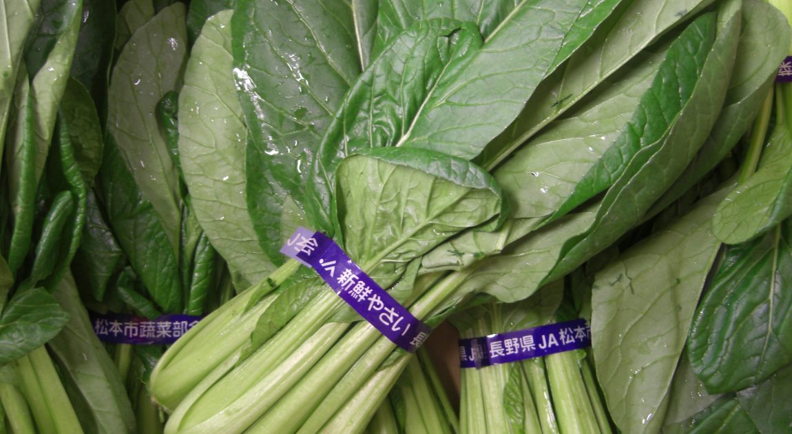 東京生まれの都会派野菜、小松菜野菜科学研究会