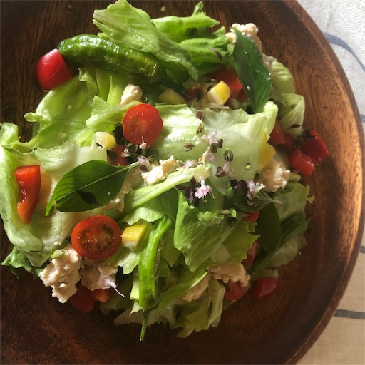 手作りカッテージチーズ