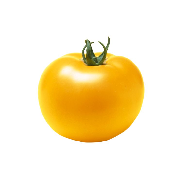 トマト種子 桃太郎ゴールド_1000粒株式会社PsEco ピーエスエコ