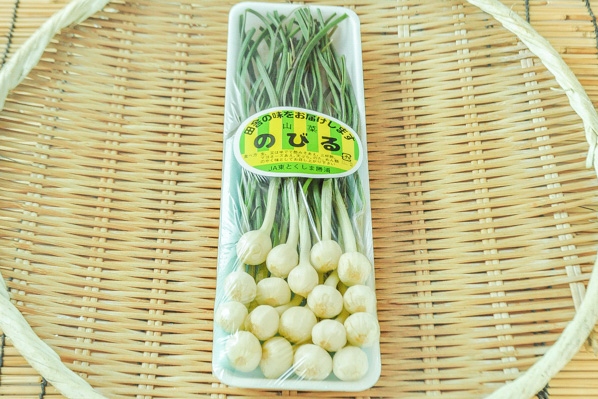 杉本知瑛子：52号 ソフィアの野草有効利用法 14 ：ノビルの食べ方＆ノビルのムカゴゆきちくらぶ