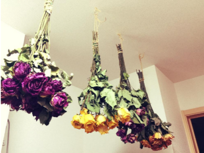 バラのドライフラワーを自作しよう!失敗しないための注意点