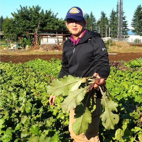 カラフル野菜カラフル野菜の小山農園
