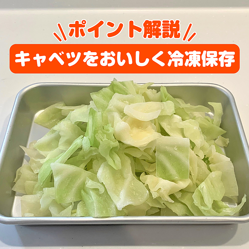 料理の基本！ 千切りキャベツの保存方法