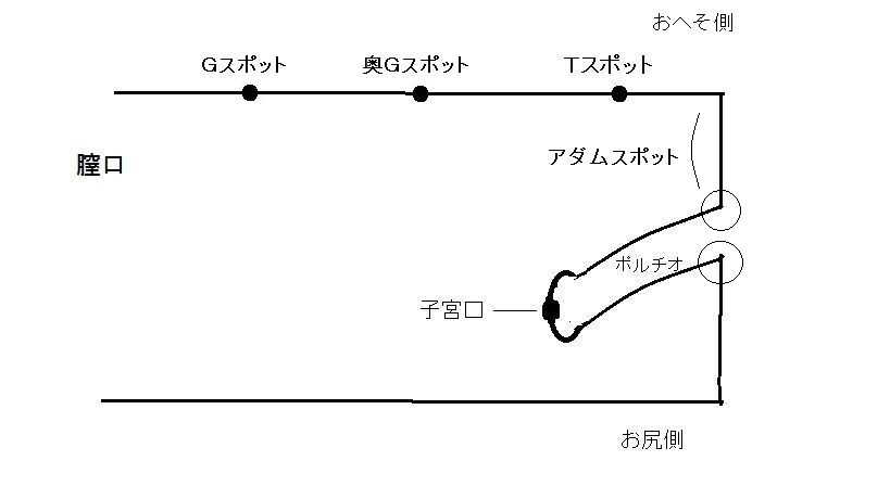 Amazon.co.jp: トーリー式最強ポルチオ開発法-初級編- eBook