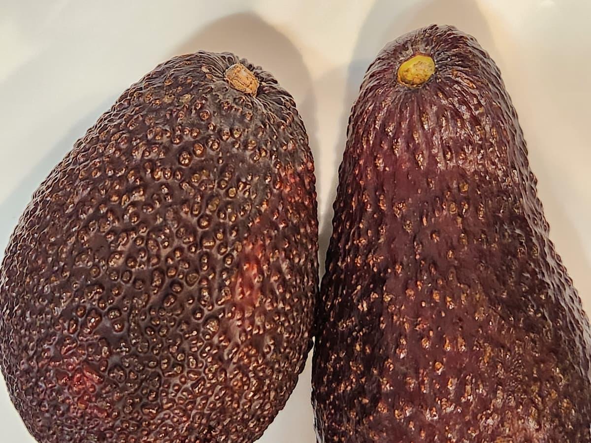 アボカドの食べ頃の見分け方！保存方法や絶品レシピもご紹介デリッシュキッチン