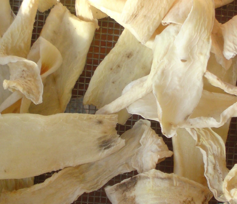 大根の根の部分なんですけどこれってカビですか?白くてふわふわ- Yahoo!知恵袋