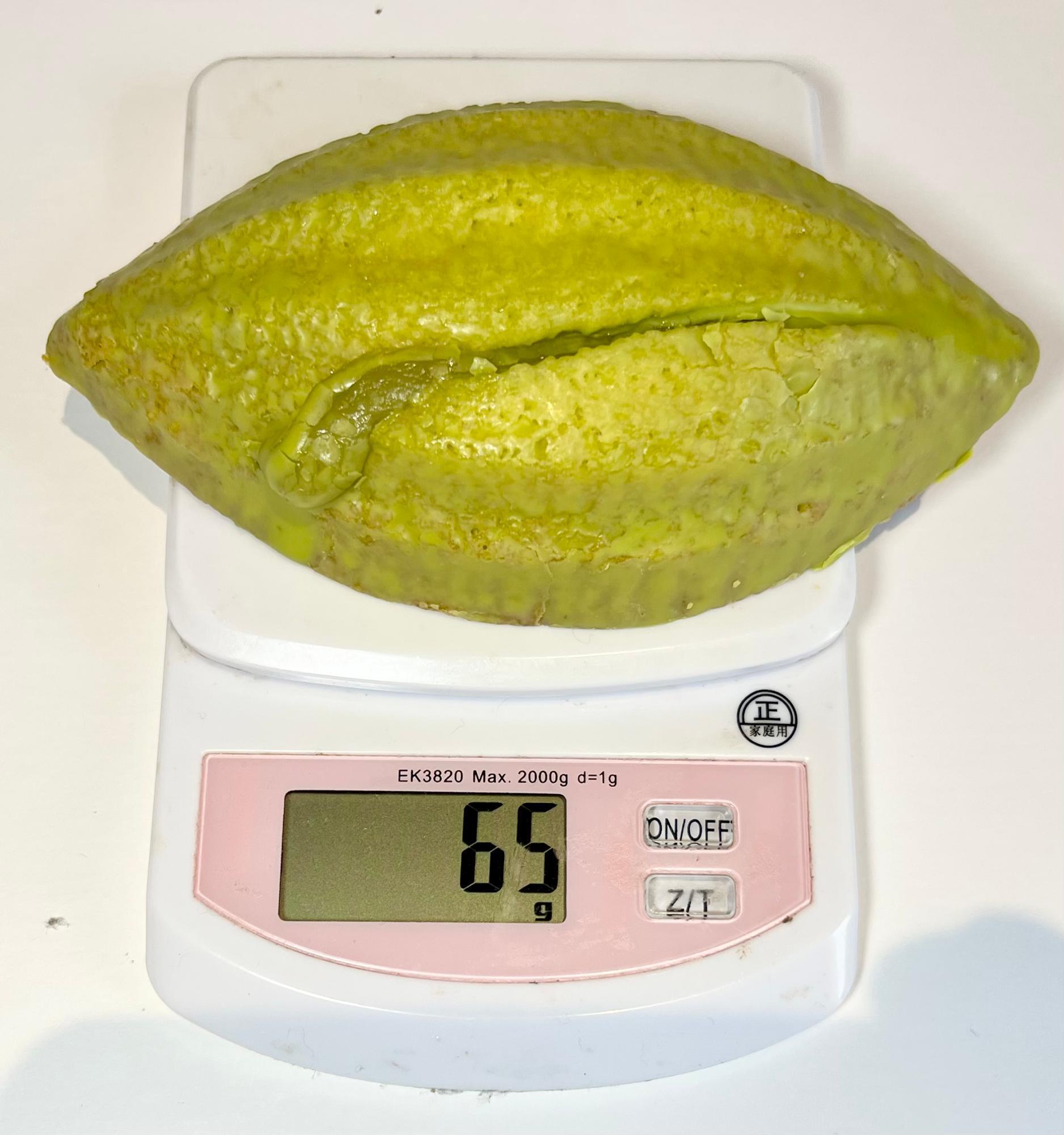 コンビニ、無印などで買える「ピスタチオ商品」10選。ピスタチオ党に捧ぐbizSPA