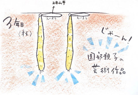 鰻と水茄子の浅漬けで夏バテ対策！お得な鰻でスタミナアップ