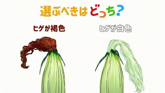 美味しいとうもろこしがわかる3つの見分け方 - 真面目ママの手しごと日和