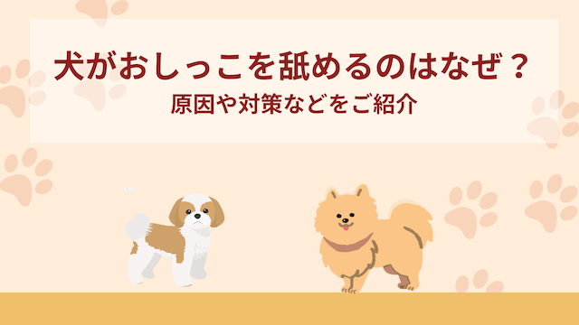 獣医師監修】犬が尿漏れする、失禁する。この症状から考えられる原因や病気は？｜hotto（ホット）