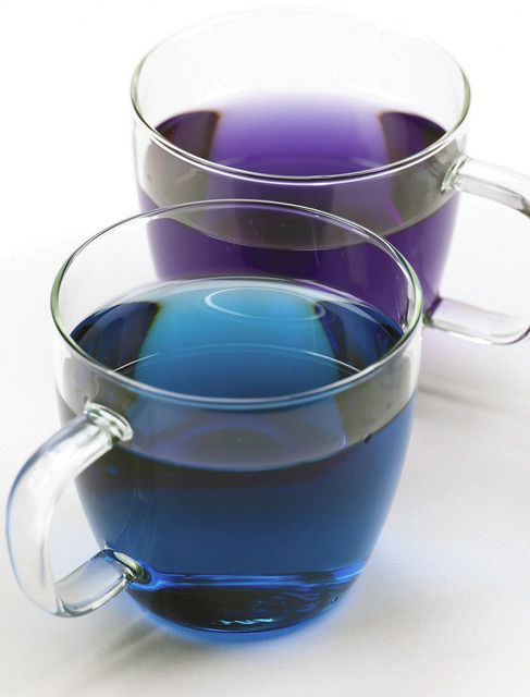 これが噂の“青いタコス”！メキシカン好きなら食べるべき本物のおいしさるるぶ&more