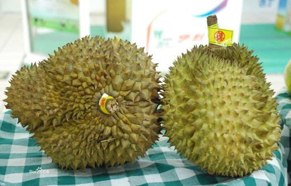 臭いのにハマる？マレーシア人に愛されるドリアン！ドリアンパーティーなるイベントもFuruFumuフルフム