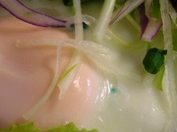 キャベツ断面」の3263点のロイヤリティフリー画像、写真素材、絵Shutterstock